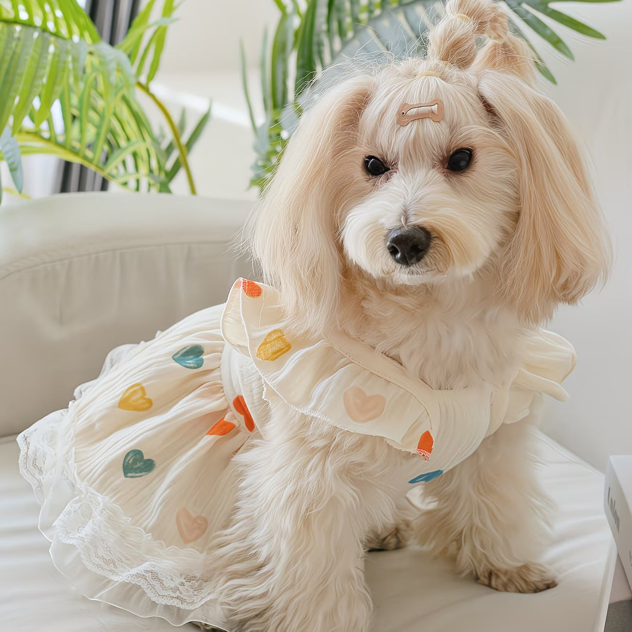 Four-Season Pet Dress for Cats & Dogs – Colorful Heart Print Chiffon Princess Dress